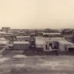 Junio 1884